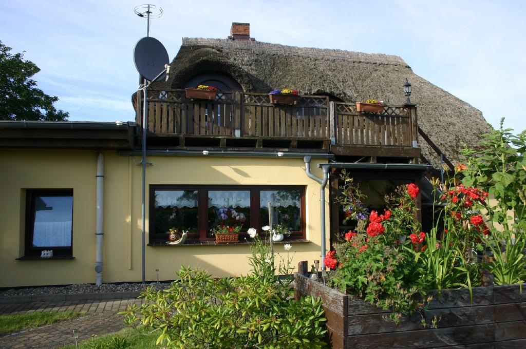 Boddenkieker Apartment Born